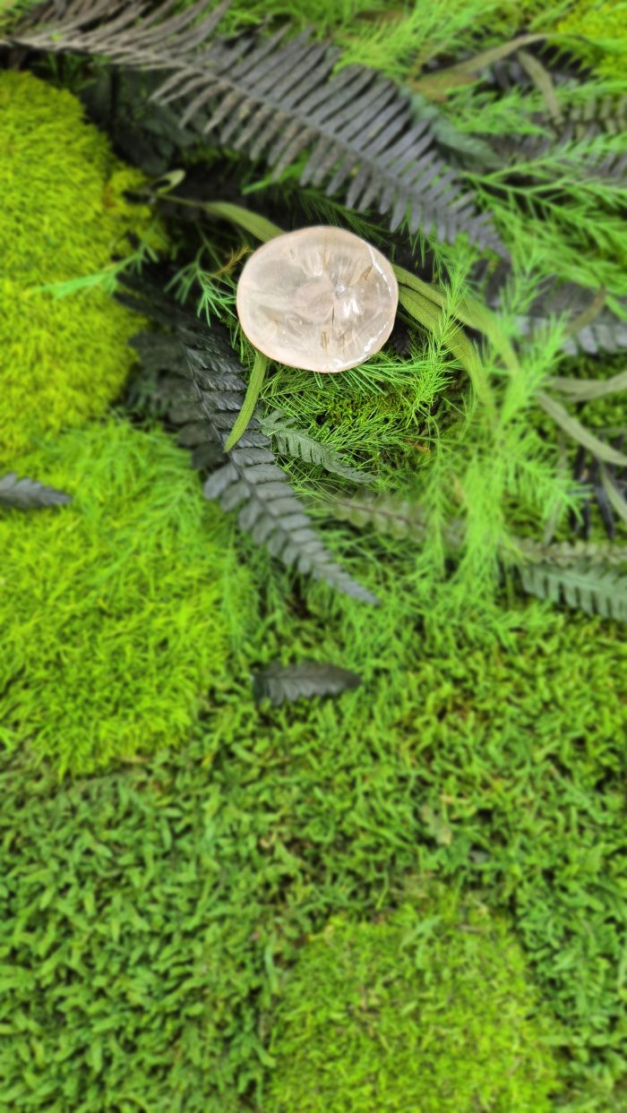 LUNARIJA BROŠ (2)